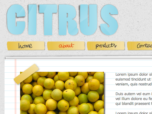 Citrus Theme for Visual Site Designer - Detail